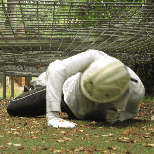 Participant crawling under a net during an outdoor team challenge designed to energise and engage, reflecting energising a global team.