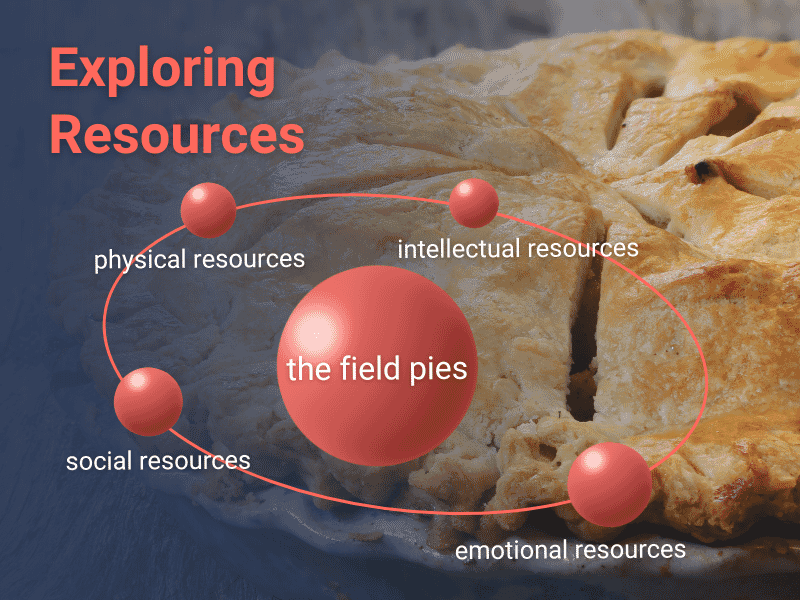 Diagram showing “the field pies” model, illustrating physical, intellectual, social, and emotional resources.