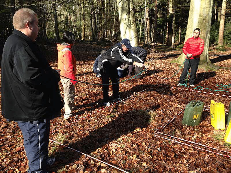 experiential leadership development roi